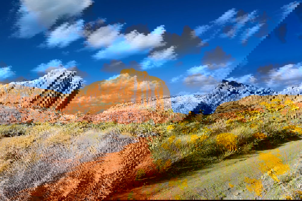 Stay Downtown! Chic Santa Barbara At Zona Rosa 1 Bedroom Condo - thumb 4