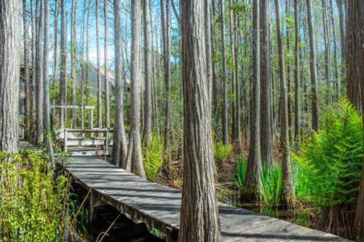 Suns2Rays By RealJoy Vacations - thumb 6