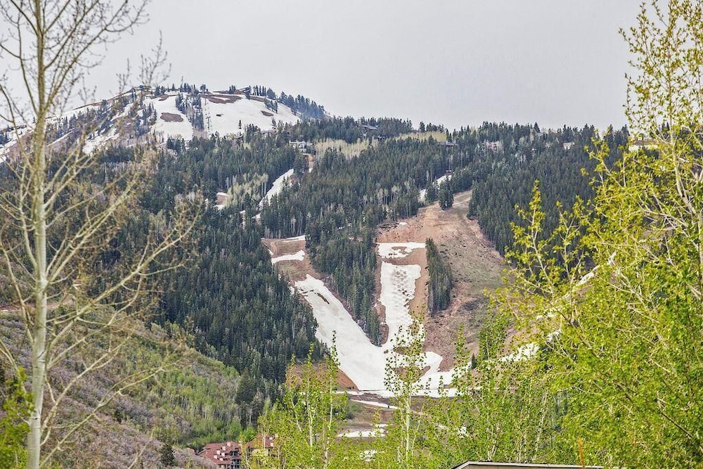 Canopy - Sleeps 18! Tahoe Cabin W Hot Tub, Theatre & Sauna - thumb 4