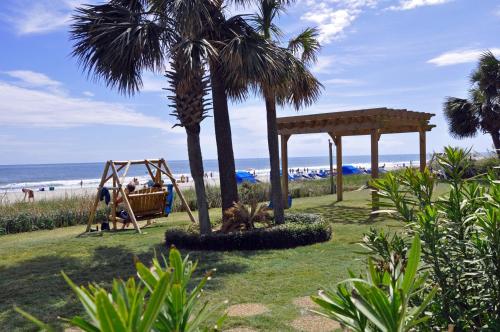 Sand Dunes 1003 - thumb 4