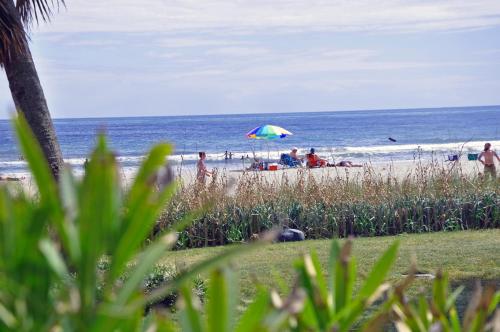 Sand Dunes 1003 - thumb 2