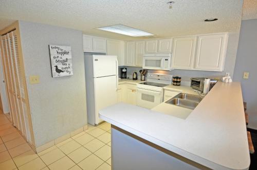 Sand Dunes 1003 - thumb 1