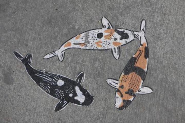 Frontdesk East Side Milwaukee Brady St - thumb 7