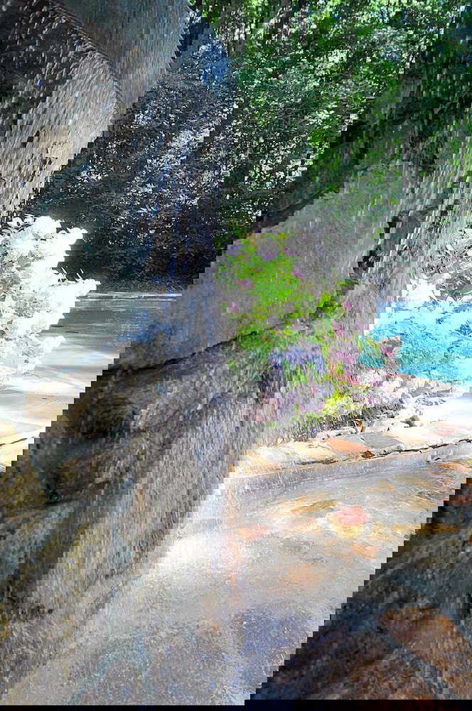 Serendipity - thumb 4