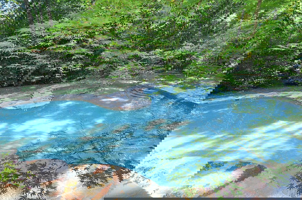 Serendipity - thumb 2