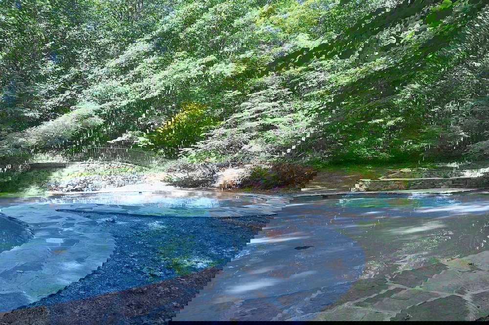 Serendipity - thumb 1