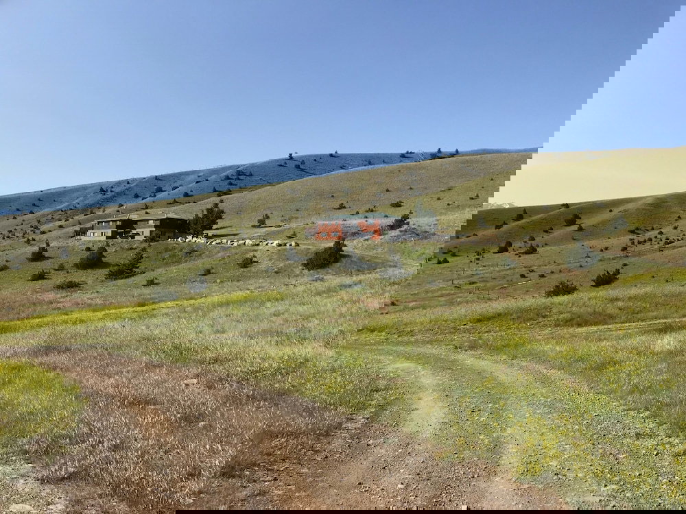 Fish Creek House Bed & Breakfast - thumb 3