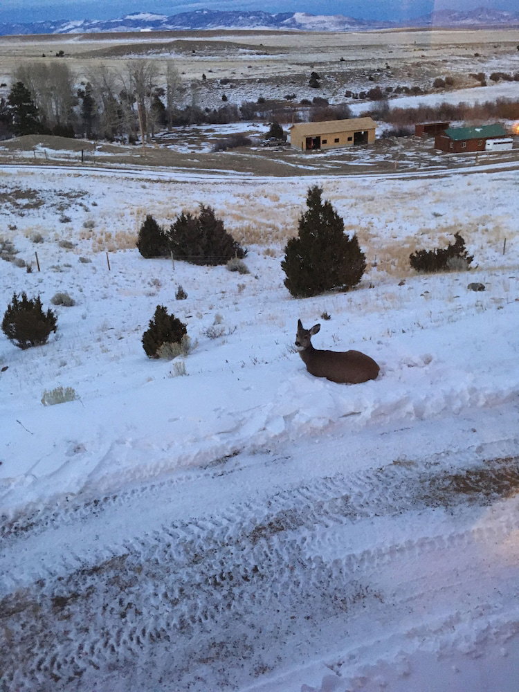 Fish Creek House Bed & Breakfast - thumb 4