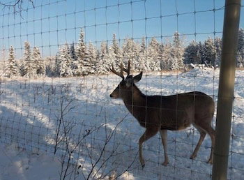 Fish Creek House Bed & Breakfast - thumb 1
