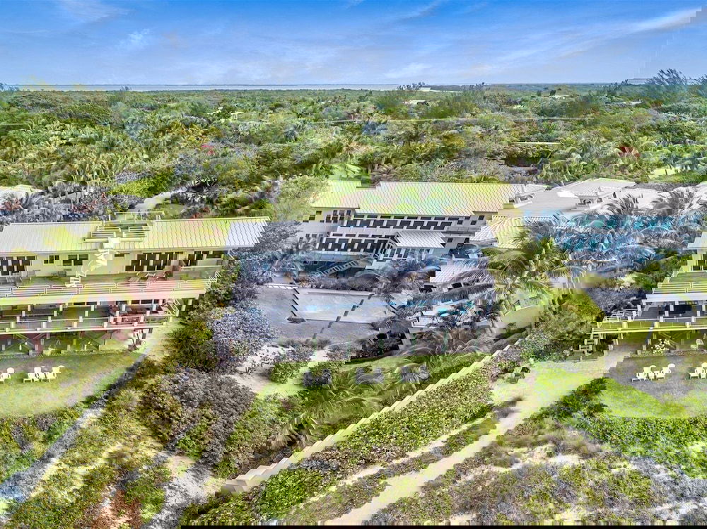 New Latitude - thumb 1