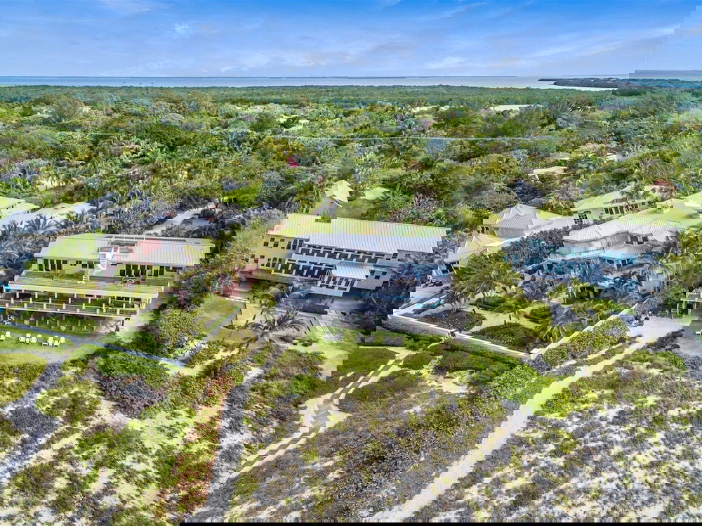 New Latitude - thumb 4