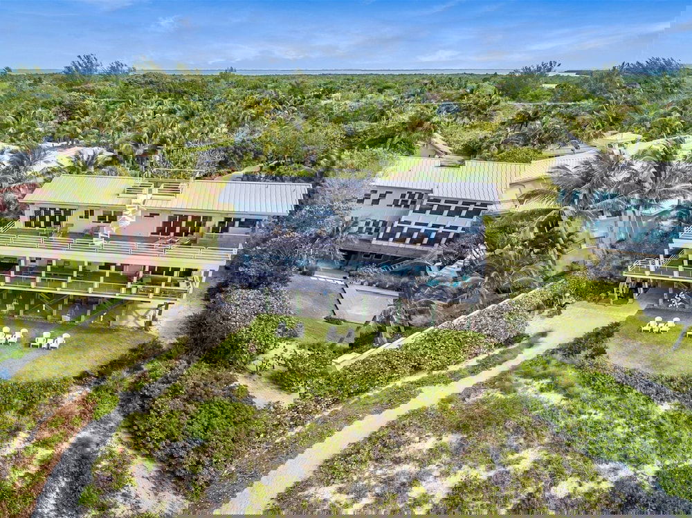 New Latitude - thumb 0