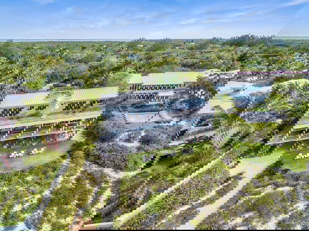 New Latitude - thumb 3