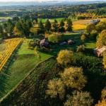 Pinot Vista - thumb 1