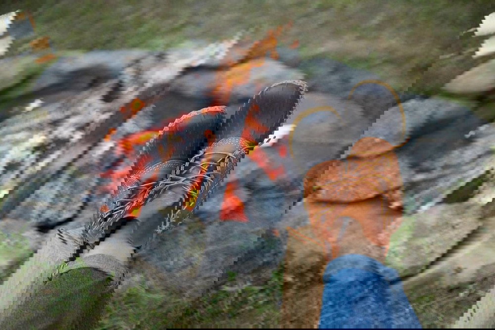 Tentrr Camp Haven: Meadow Retreat - thumb 2