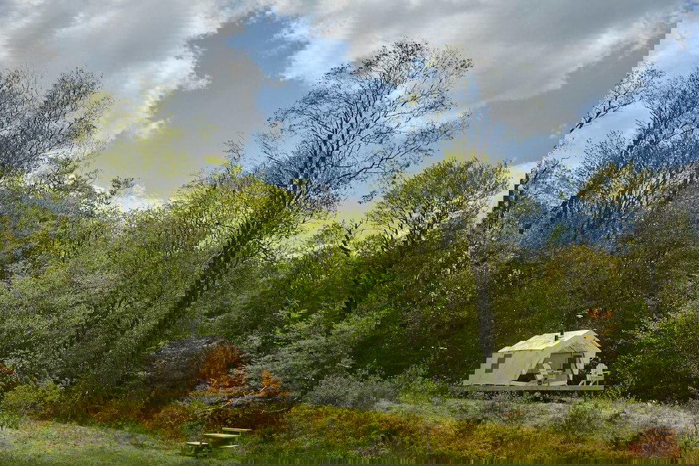 Tentrr Camp Haven: Meadow Retreat - thumb 3