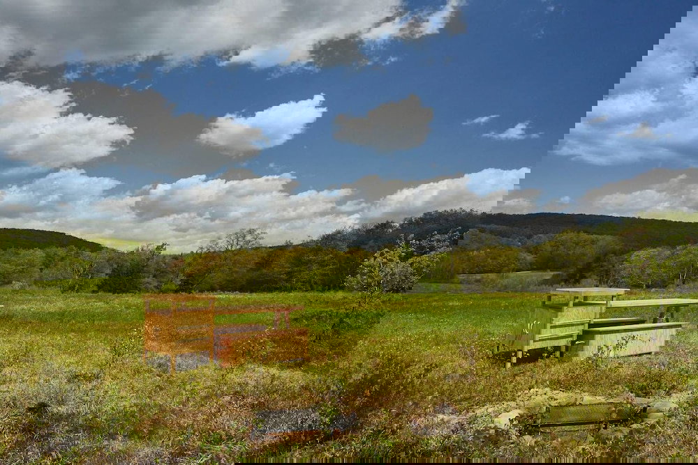 Tentrr Camp Haven: Meadow Retreat - thumb 5