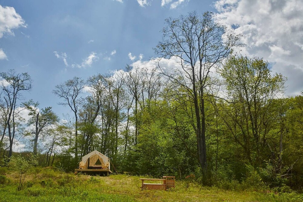 Tentrr Camp Haven: Meadow Retreat - thumb 4