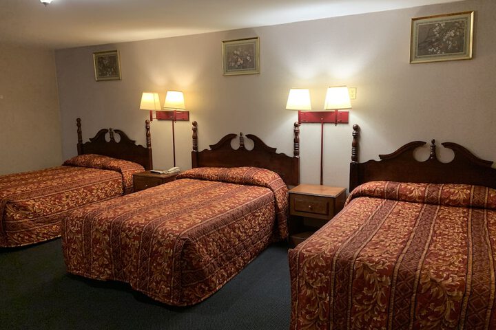 Dutch Motel Palmyra - thumb 4