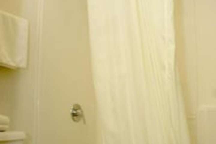 American Inn And Suites Ionia - thumb 6