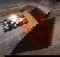 Red Roof Inn PLUS Ann Arbor - U of Michigan North - Accommodation Seattle