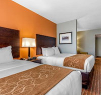 Comfort Suites Jackson I-40 - Accommodation Seattle