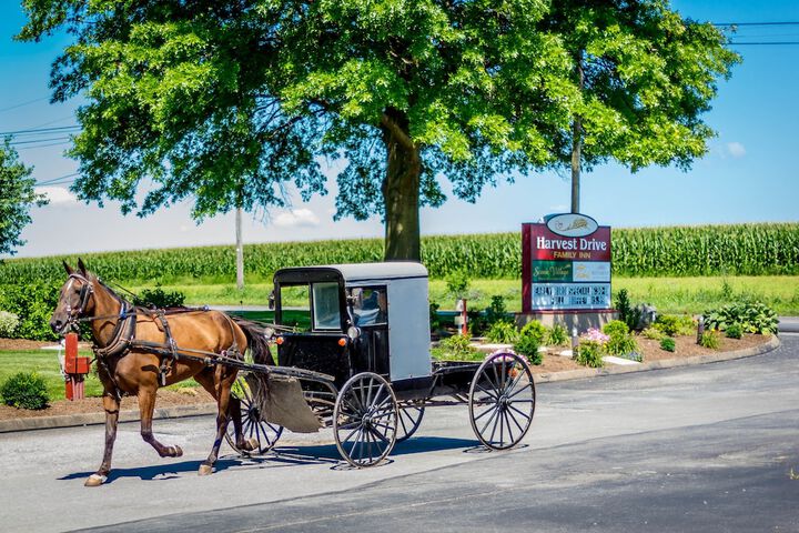 Harvest Drive Family Inn - thumb 4