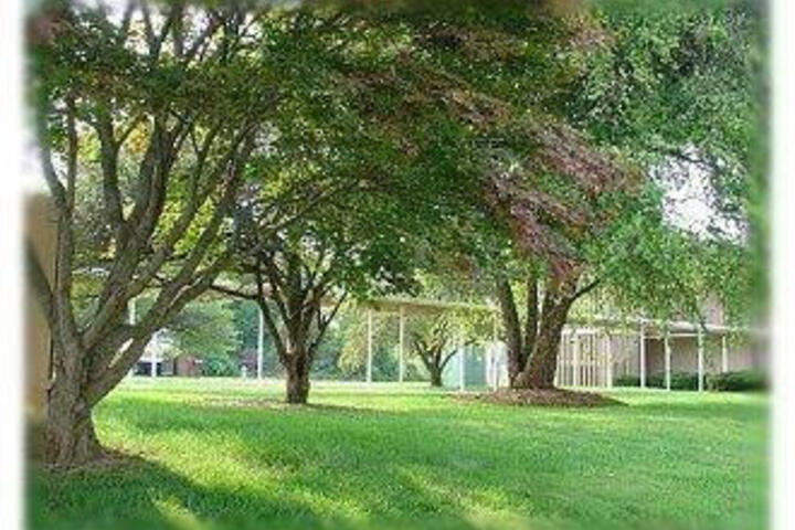 A Summerhouse Inn - thumb 2