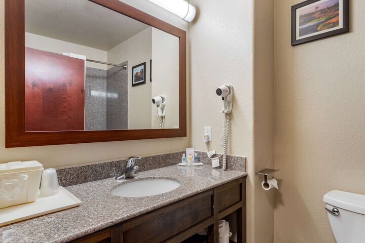 Comfort Inn & Suites Navasota - thumb 5