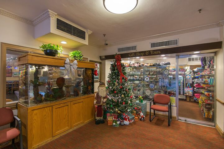 Hotel Harrington - thumb 7