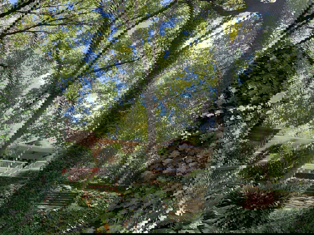 The Lamb's Rest Inn - thumb 5