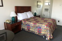 The Gull Motel Belfast