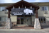 White Buffalo