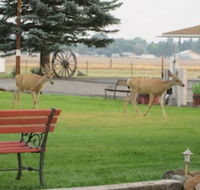 Rim Rock Motel - Accommodation Seattle