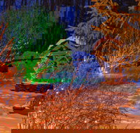 Starlite Motel - Accommodation Seattle