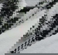 Tahoma Meadows Cottages - Accommodation Seattle