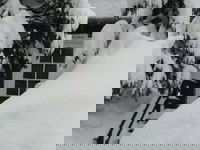 Tahoma Ca Accommodation Seattle