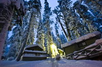 Pinecrest Ca Accommodation Seattle