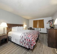 Red Roof Inn Culpeper - Accommodation Seattle