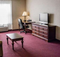 Comfort Suites Lake George - Accommodation Seattle