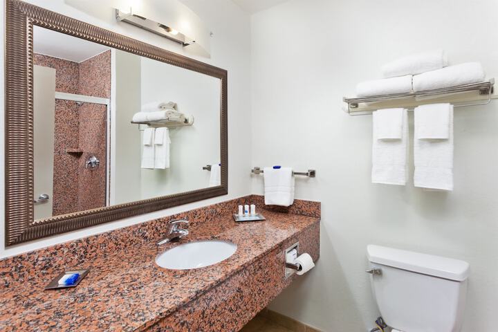 Best Western Plus Columbus Ft. Benning - thumb 2