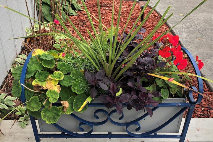 Harbor's Edge Motel - thumb 6