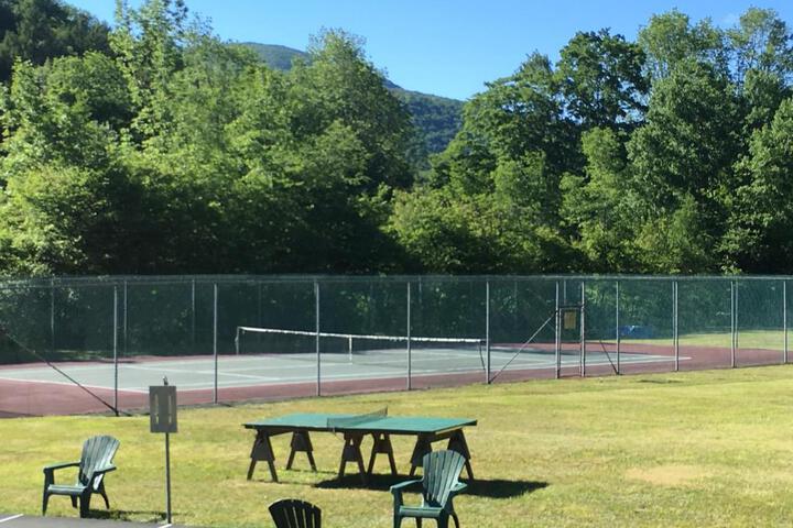 Slide Mountain Forest House - thumb 7