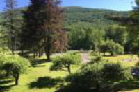 Slide Mountain Forest House