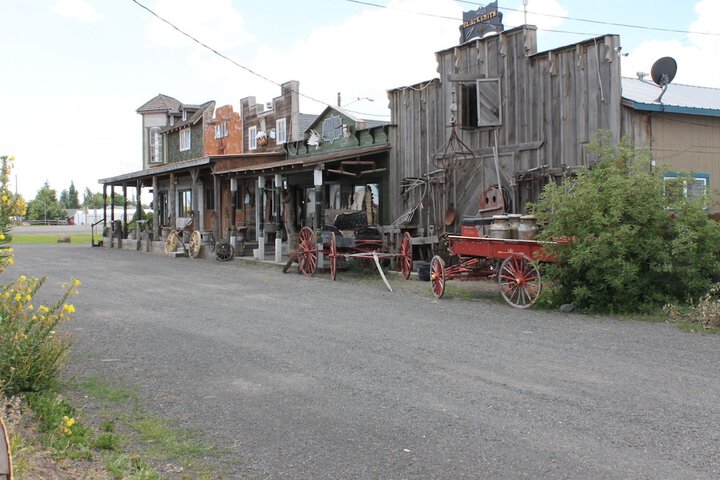 Black Bear Motel - thumb 4