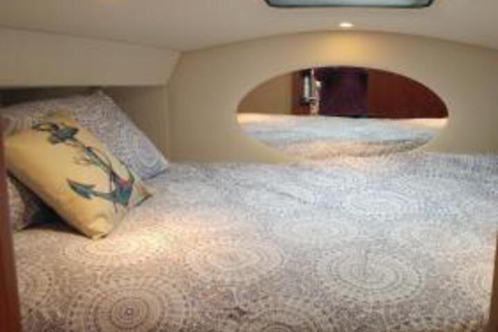 Little Pearl - thumb 6