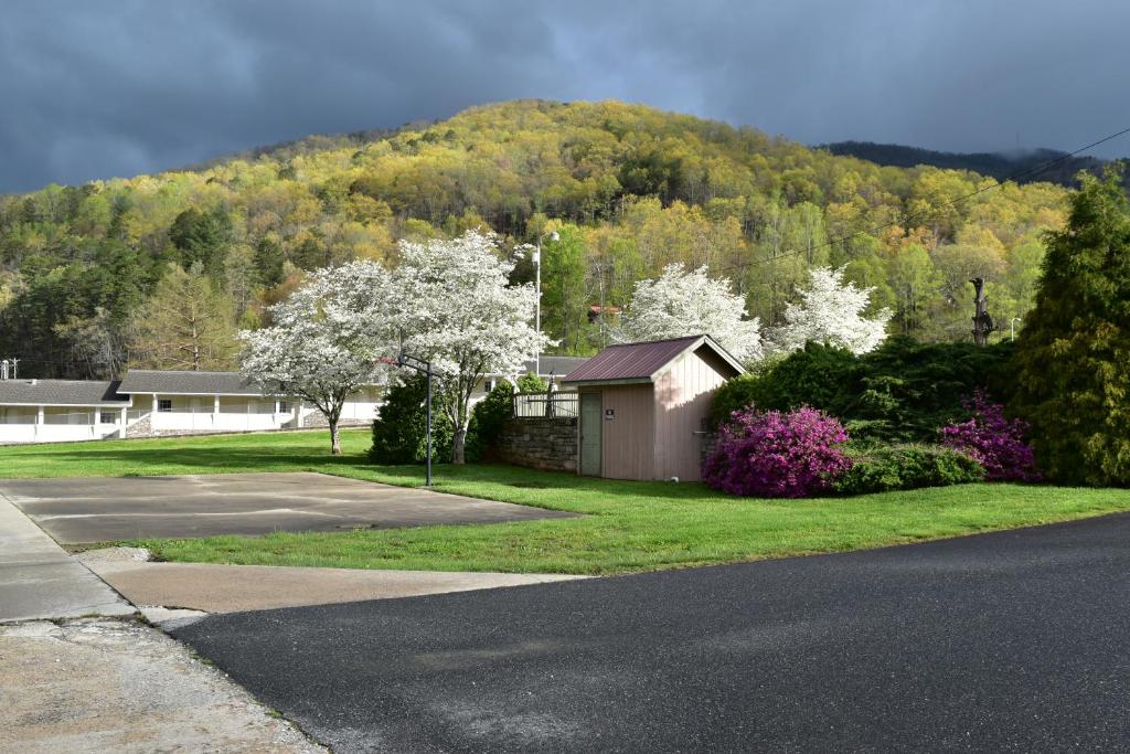 Pioneer Motel & Cabins - thumb 4