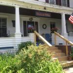 Wind In The Willows Overnight - thumb 1