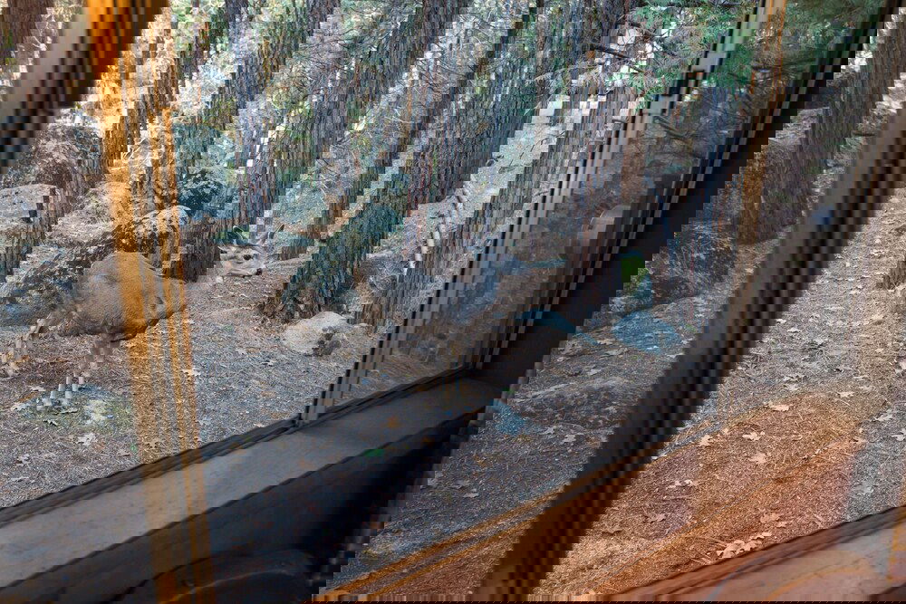 4 Pine Creek Cabin - thumb 4