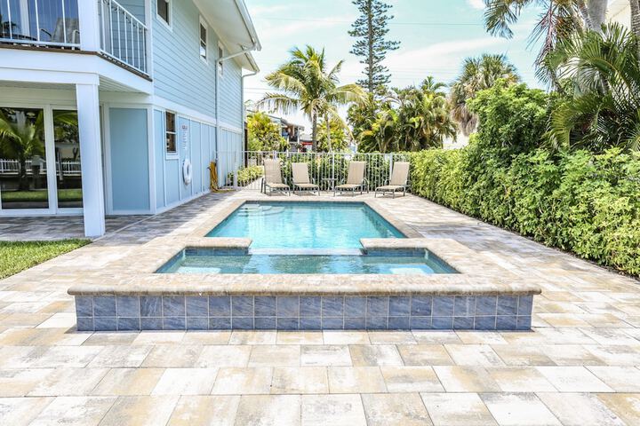 7 Pepita B M - thumb 4